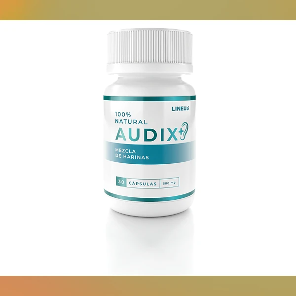 Audix