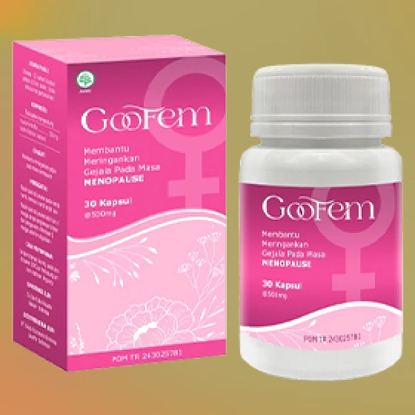 GOOFEM