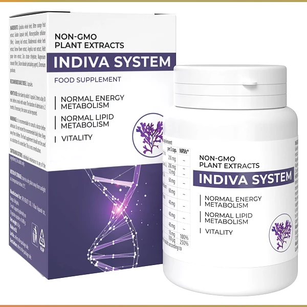 InDiva System