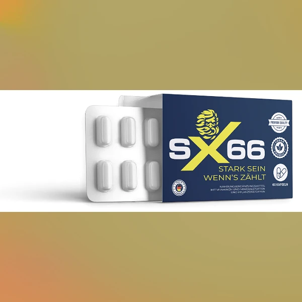 SX 66